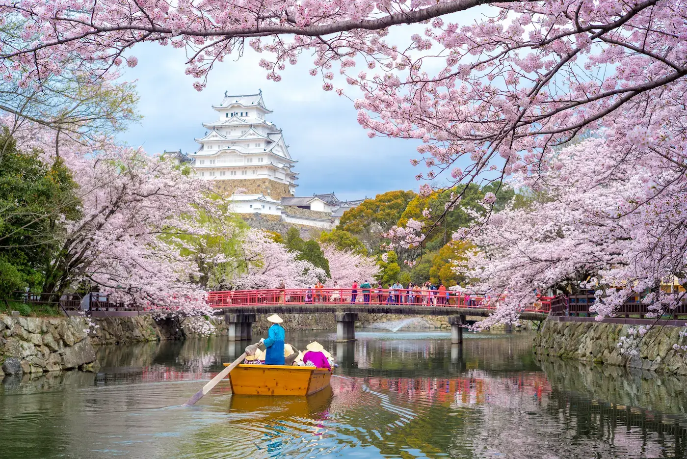 Himeji Castle surrounded by cherry blossoms in Japan