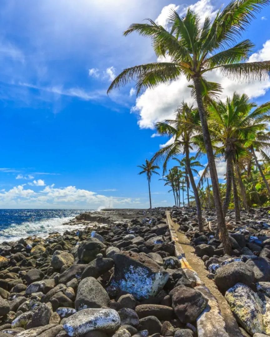 Sceptre Hawaii