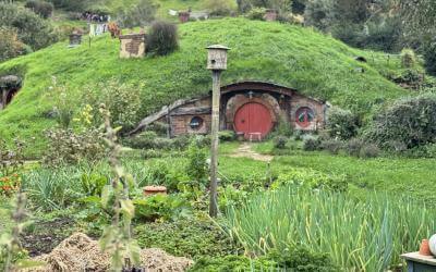 From Volcanoes to Hobbiton: My Adventures in New Zealand